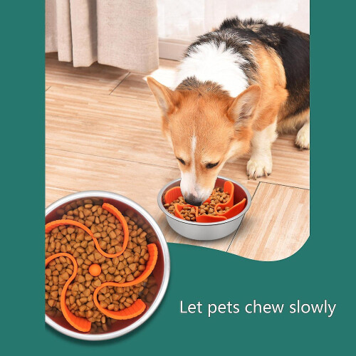 Slow Feeder Dog Insert Stops Boredom Anxiety Slows Down Eating 2