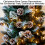 Snow Pine Cones 2 Inch 20 Pcs Holiday Decor 6