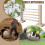 Wooden Rabbit Agility Jump Bar Adjustable Height Training Equipment 4