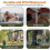 50ft Rechargeable Ultrasonic Dog Barking Control Device Deterrent Training Tool 2