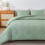 Sage Green Boho Comforter Set Queen 3-Piece Microfiber 3