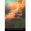 Theology and Modern Physics by Peter E. Hodgson Paperback Book 1