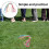 Weighted Jump Rope Multi-Design 1 Piece 6