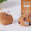Capybara Needle Felting Supplies Kit with Tools 6