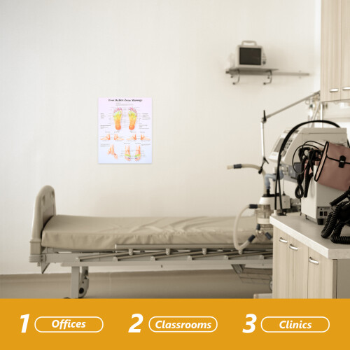 Foot Reflexology Chart Poster Wall Art Office Decor 2