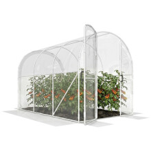 Polytunnel Greenhouse Walk-in Grow House with PE Cover, Door and Galvanised Steel Frame, 3 x 2 x 2m, Clear