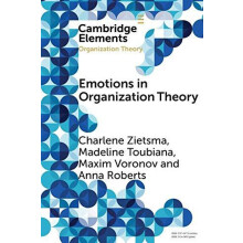 Emotions in Organization Theory by Charlene Zietsma Paperback Book