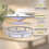 Flea Trap for Inside Your Home Flea Light Trapper Indoor Fly Killer Warm & UV LED Light Flea Fighting Tool Kit for Flea 5