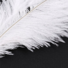 60 Pieces White Natural Ostrich Feather 20-25cm Wedding DIY