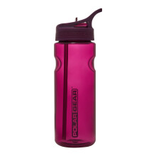 Polar Gear 650ml Aqua Grip Water Bottle with Straw - Drinking Bottle, Grape