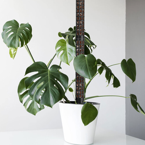 Søjler til klatreplanter Black 2