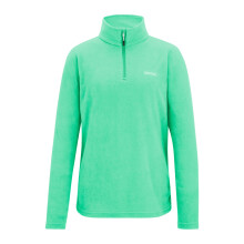 (14 UK, Ice Green) Regatta Great Outdoors Womens/Ladies Sweetheart 1/4 Zip Fleece Top