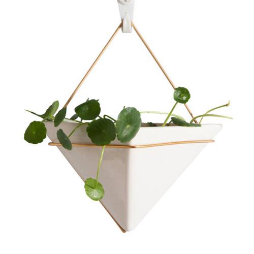 Living And Home 1-Piece Wall Hanging Geometric Decorative Planter for Succulents 1