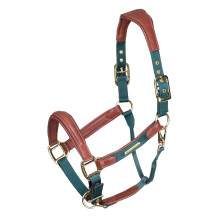 (Full, Green) Velociti Lusso Leather Padded Horse Headcollar