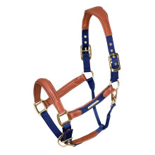 (Full, Navy) Velociti Lusso Leather Padded Horse Headcollar