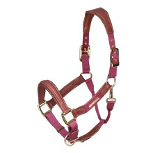 (Cob, Burgundy) Velociti Lusso Leather Padded Horse Headcollar