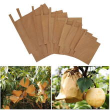 (150*180mm) Confezione da 100 sacchetti di carta riciclata per la protezione di alberi da frutto e piante da giardino.