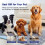 (GRAY, 70*80cm) 2026 Pheromone Washable Reusable Leak-Proof Puppy Pee Pad Training Mat Multiple Sizes Available 4