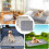 (GRAY, 70*80cm) 2026 Pheromone Washable Reusable Leak-Proof Puppy Pee Pad Training Mat Multiple Sizes Available 5