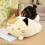 (60CM) Cat Soft Squishy Chubby Cartoon Pillow 2