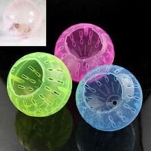 Plastic Exercise Ball for Rodents Hamsters Gerbils Rats