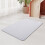 Living And Home Light Grey Washable Diatom Mud Pet Mat With Nonslip Bottom 1