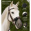 Horse Nose Fly Net Mask Large 2