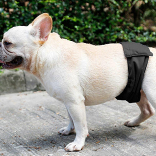 3 Dog Diapers Anti Harassment Rut Fast Physiological Protection 2
