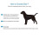 Collar Hole Safe Reflective Hood Strips Ultra-light Raincoat 5