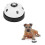 2 Pieces Training Bells For Pets Potty Training With Paw Pattern - NNIU 4