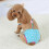 Suspender Sanitary Pants for Small Dog Blue L 2