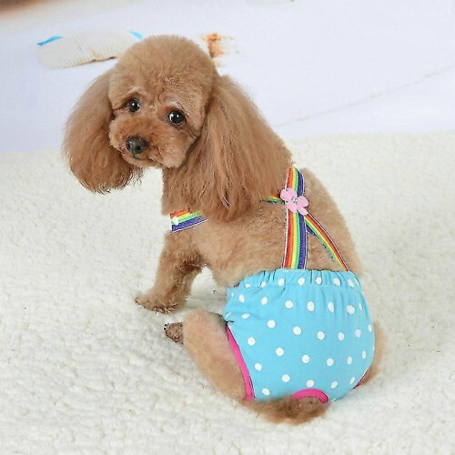 Suspender Sanitary Pants for Small Dog Blue L 1