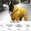 Impermeable ligero con capucha para perros de 4 patas, color amarillo. 4