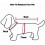 Suspender Sanitary Pants for Small Dog Blue L 4