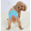 Suspender Sanitary Pants for Small Dog Blue L 5