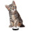 2 Pieces Training Bells For Pets Potty Training With Paw Pattern - NNIU 3