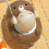 Cute Electric Bear Bath Toy For Infant Toddler High Grade Solid Normal 4