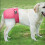 Wiederverwendbare, waschbare, rosa Hundewindel mit Gummizug, 1 Stück 4