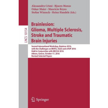 Brainlesion Glioma Multiple Sclerosis Stroke and Traumatic Brain Injur