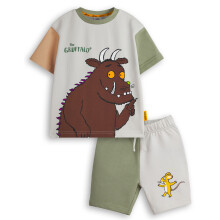 (2-3 Years) Gruffalo & Friends T-Shirt and Shorts Set (Boys Multicoloured)