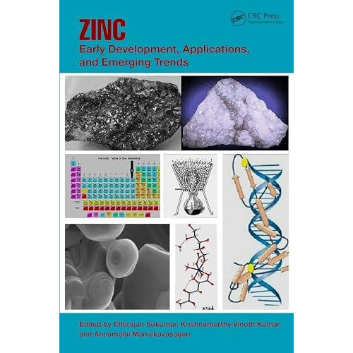 Zinc Early Development Applications and Emerging Trends Paperback Book