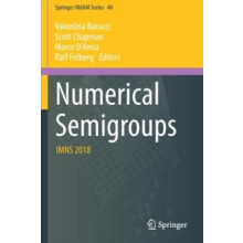 Numerical Semigroups IMNS 2018 Paperback Book