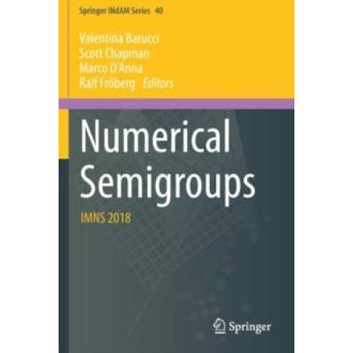 Numerical Semigroups IMNS 2018 Paperback Book