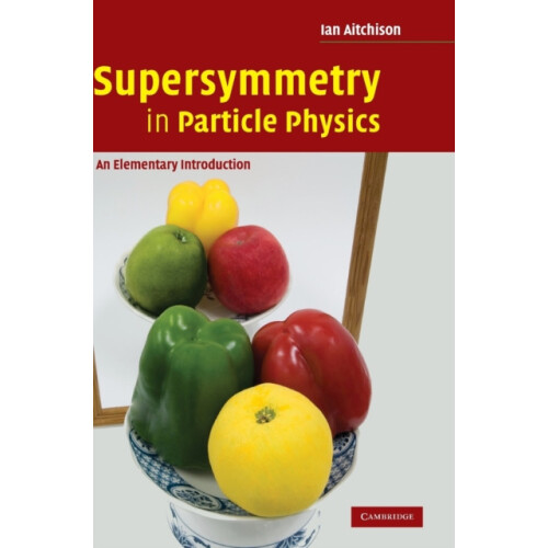 Supersymmetry in Particle Physics An Elementary Introduction by Ian Jo