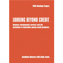 Looking Beyond Credit Business development services and the promotion