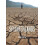 Splinterlands by John Feffer Paperback Book 1