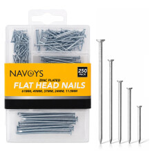 D.A.Y. Republic 250 Flat Head Wall Nails for Hanging Pictures