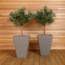 Charles Bentley Trojan Square Planters Pair, Granite, H52 x L40 x W40cm