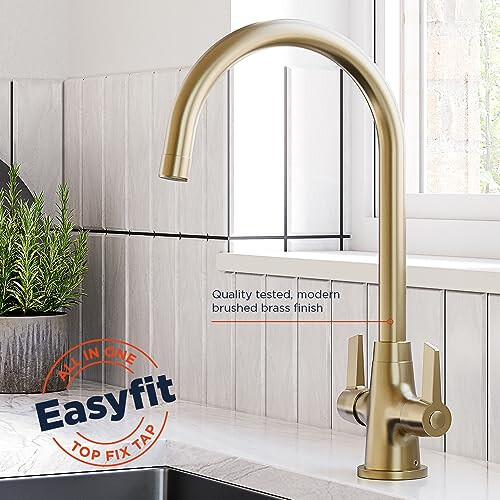 Bristan Bristan Echo Kitchen Tap, Brushed Brass, EC SNK EF BB 1