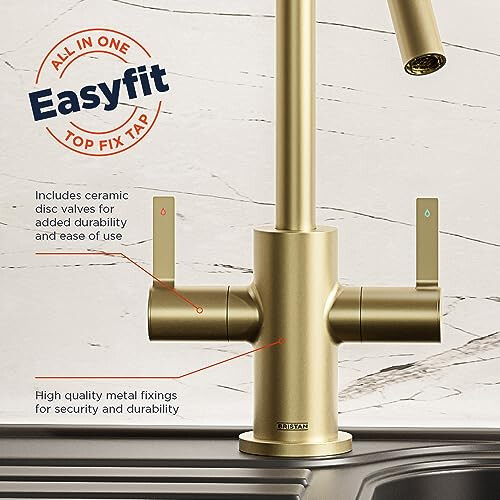 Bristan Bristan Echo Kitchen Tap, Brushed Brass, EC SNK EF BB 2